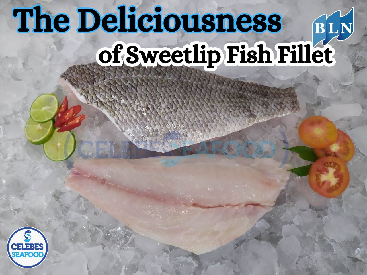The Deliciousness of Sweetlip Fish Fillet from the Deep Sea